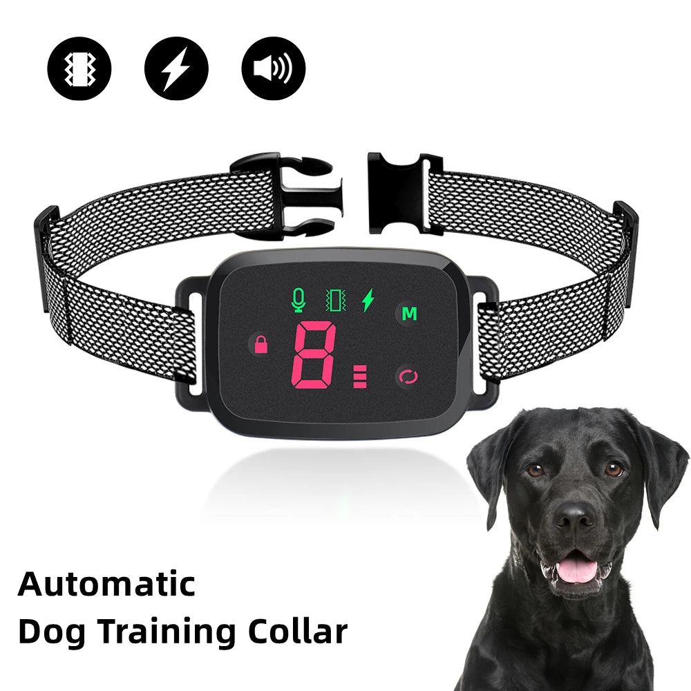 Automatic dog training collar with digital display and a black dog on a white background