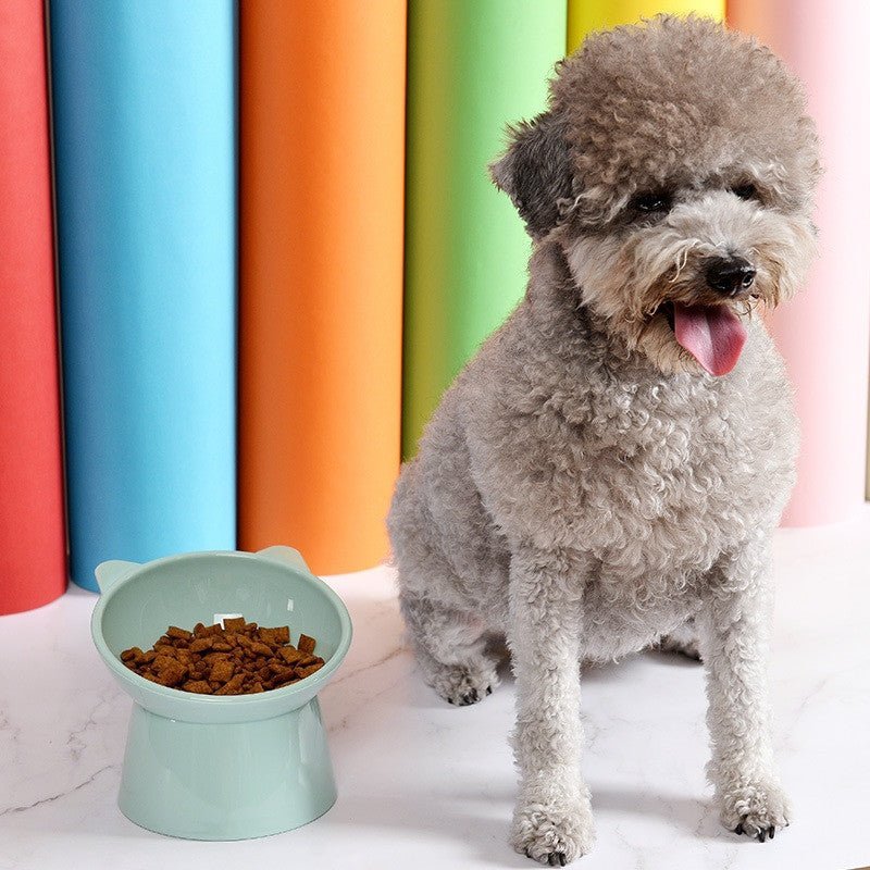 Tilted Pet Food Bowl – Anti-Choking Elevated Water Bowl for Cats & Dogs - Adistore