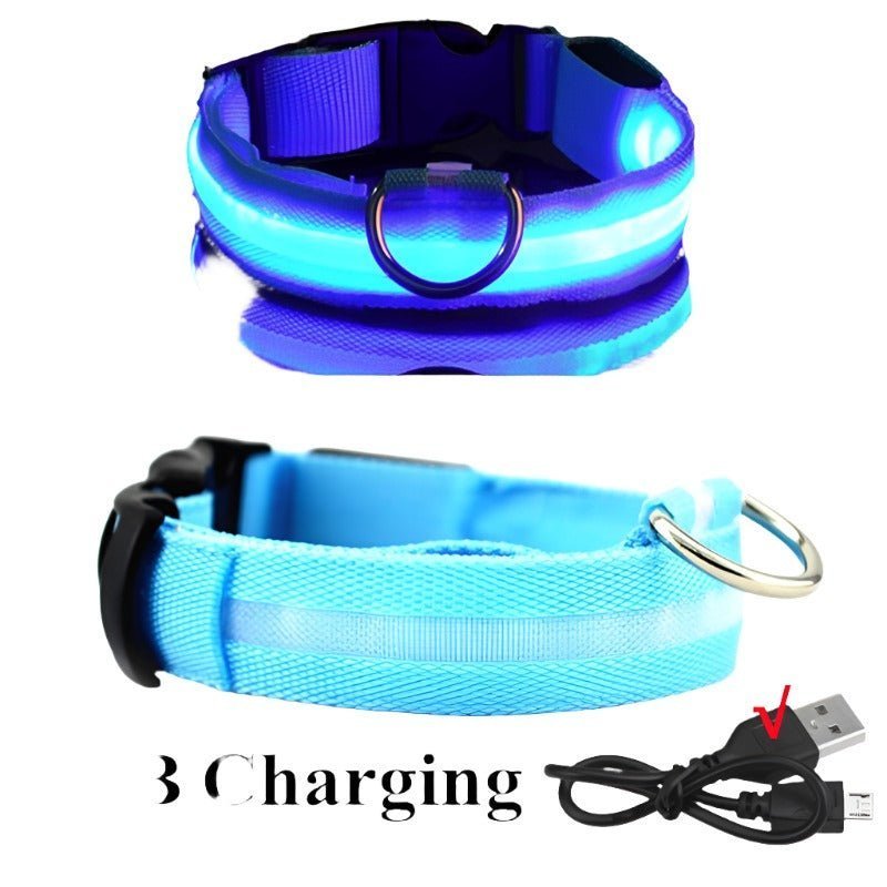 LED Glowing Dog Collar – Rechargeable & Adjustable for Small Dogs - Adistore