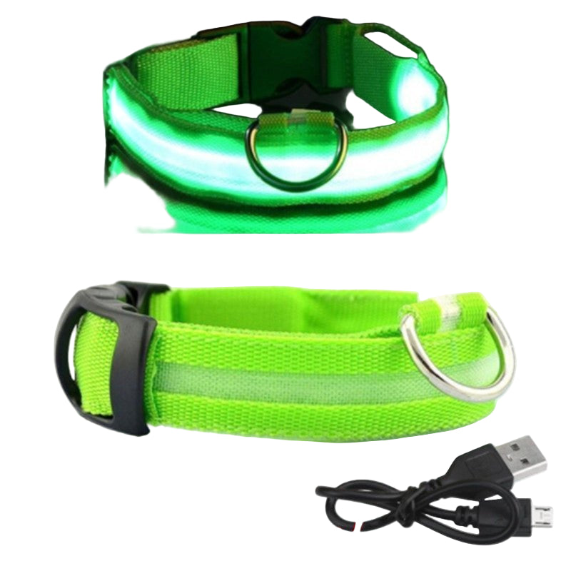 LED Glowing Dog Collar in Green – Rechargeable USB Charging Adjustable Light-Up Pet Collar for Small Dogs.