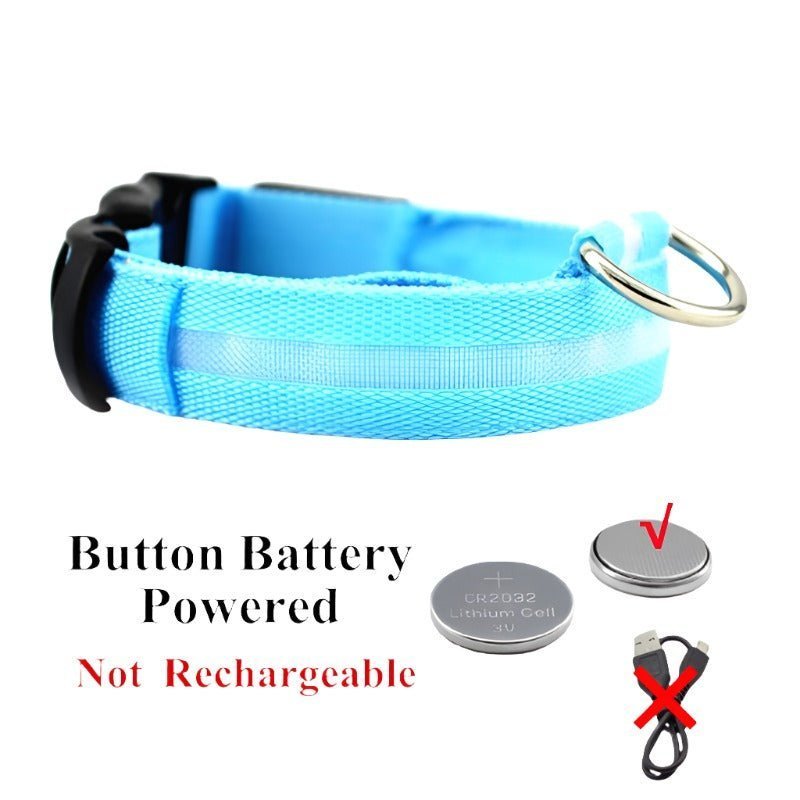 LED Glowing Dog Collar – Rechargeable & Adjustable for Small Dogs - Adistore