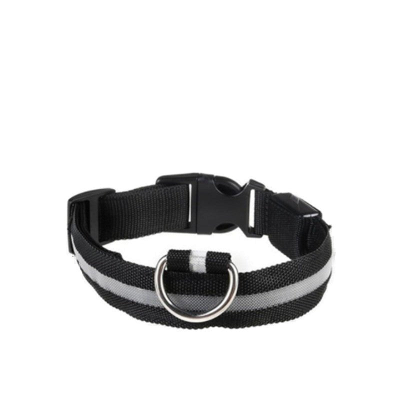 LED Glowing Dog Collar – Rechargeable & Adjustable for Small Dogs - Adistore