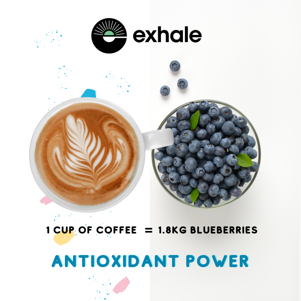 Organic Dark(ish) Roast Coffee