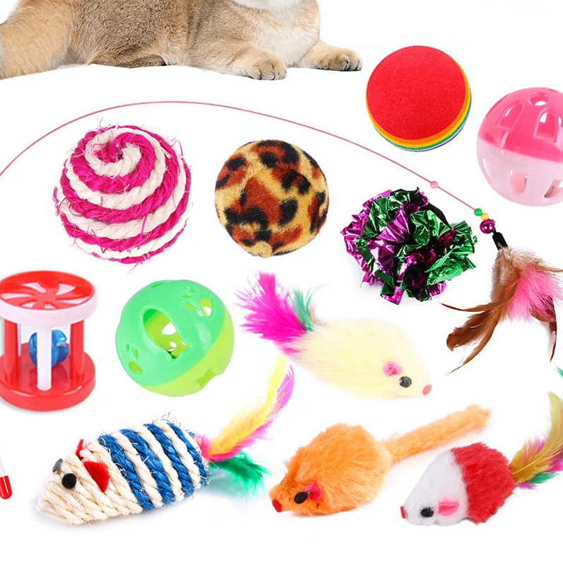 Assorted cat toys with a cat lying next to them on a white background