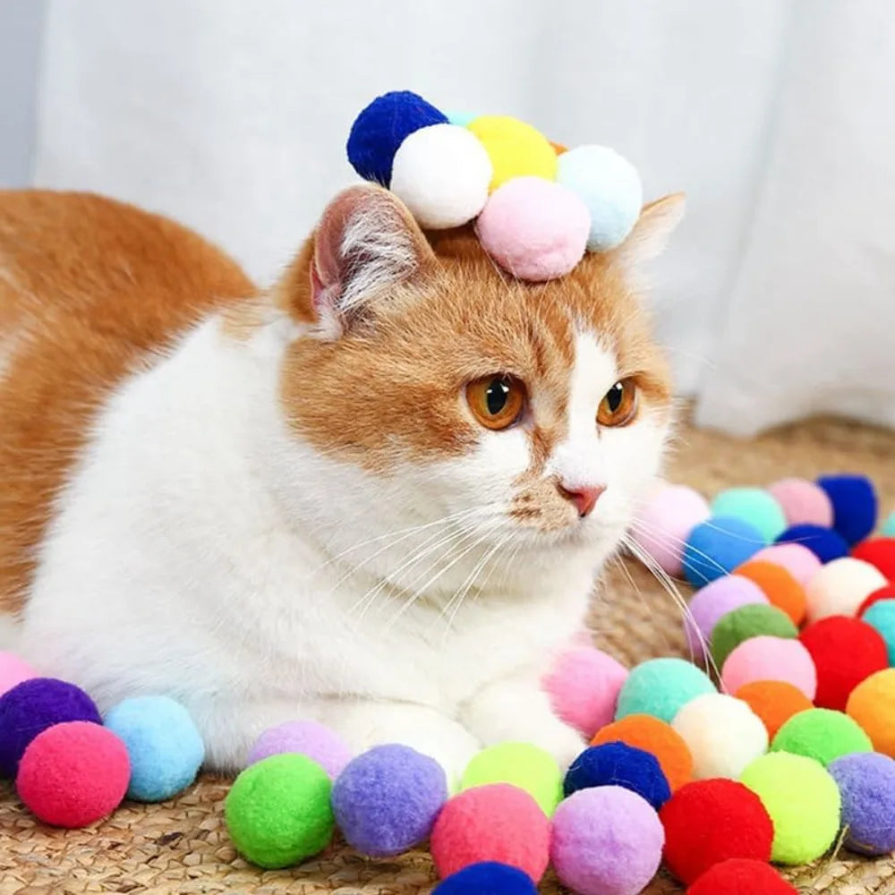 Cat playing with a colorful ball toy on a wooden floor.