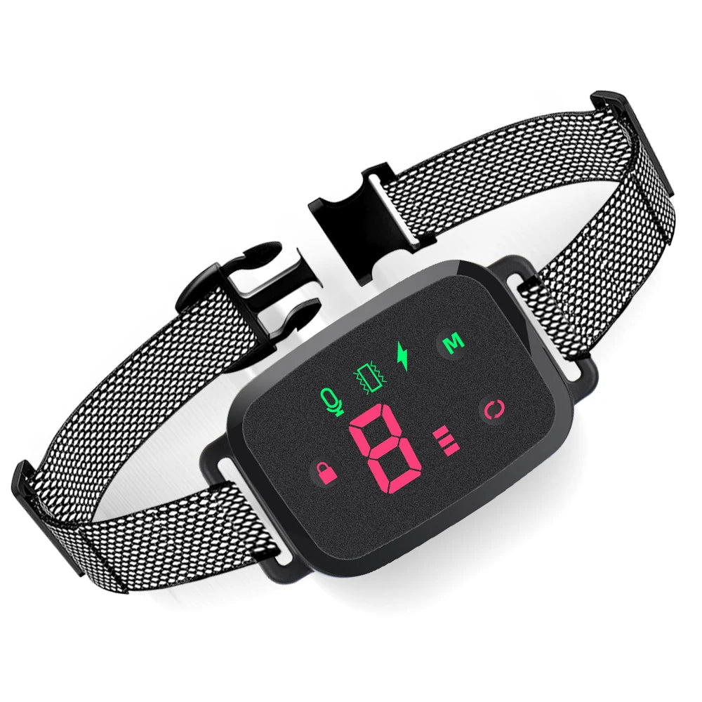 Digital dog collar with LED display on a white background