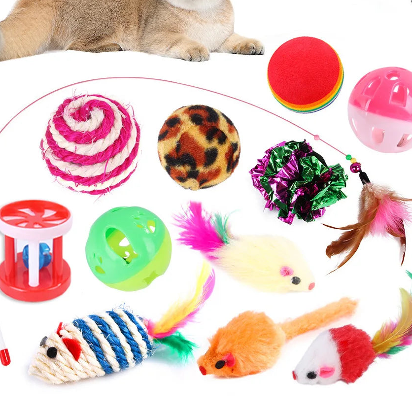 Assorted cat toys with a cat sitting next to them on a white background