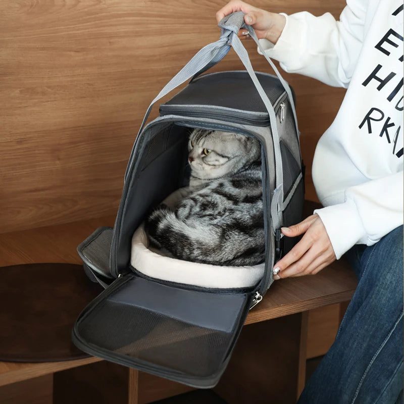 Foldable Pet Carrier Bag – Soft Mesh Travel Handbag for Cats & Dogs - Adistore