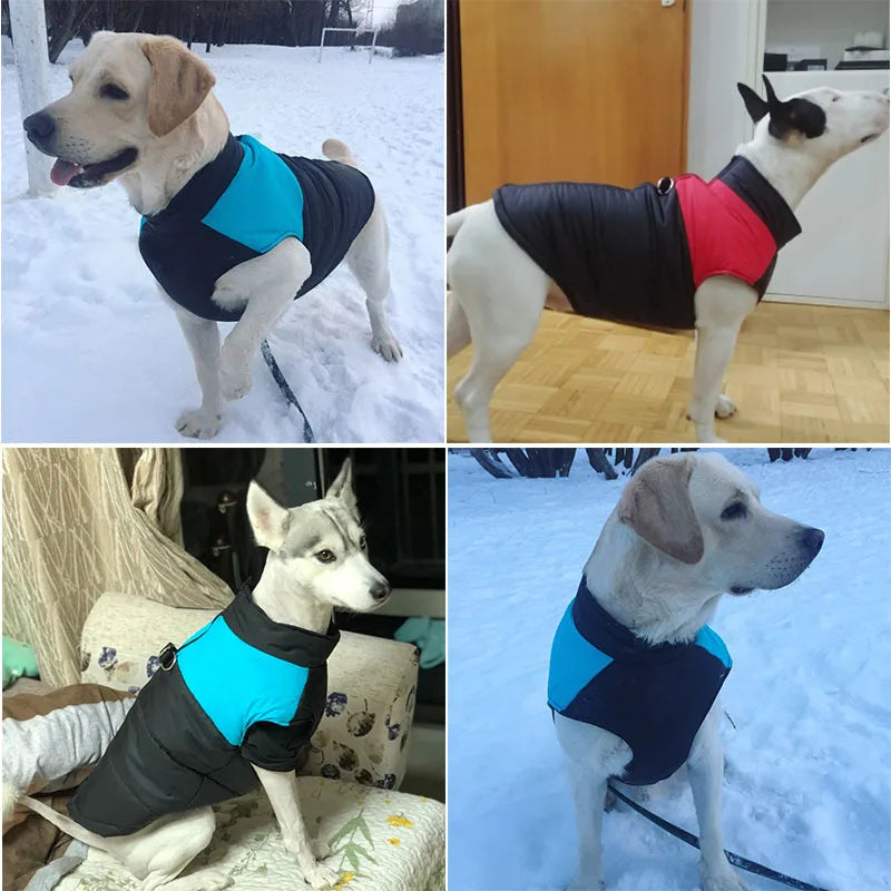 Waterproof Winter Dog Jacket Warm Cotton Vest for Small & Large Dogs