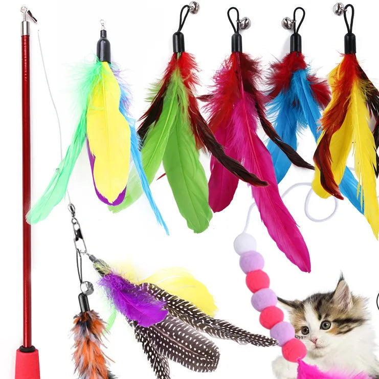 Assorted cat toys with feathers and colorful handles, including a cat playing with one of the toys.
