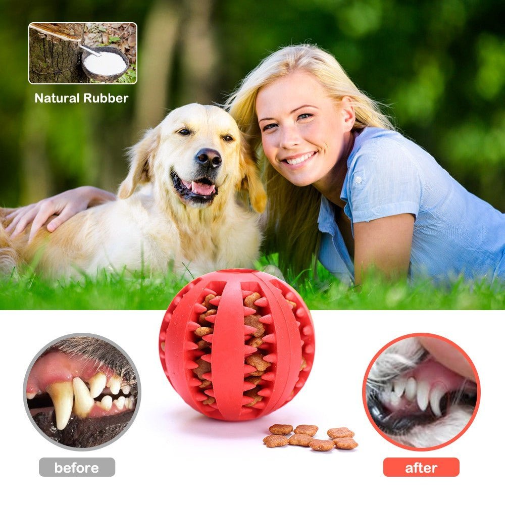 Interactive Rubber Food Balls for Small, Large Dogs/Cat.