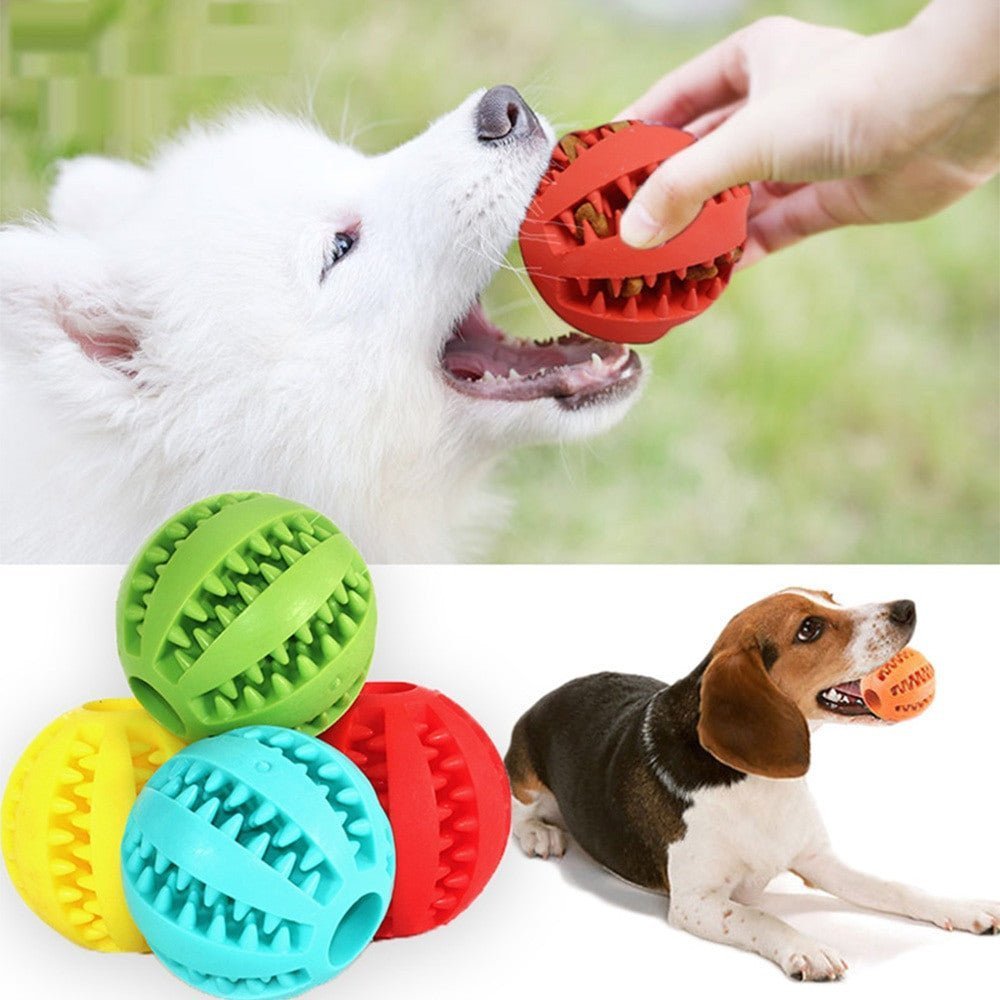 A dog happily playing with a colorful rubber food ball toy filled with treats on a wood floor.