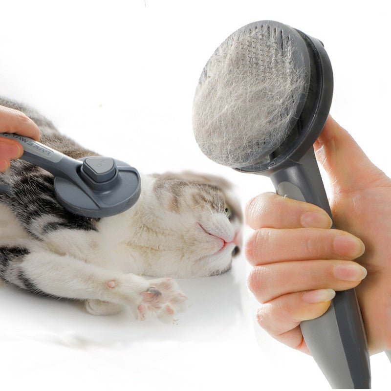 Brush Massage for both cats and long-haired dogs. 