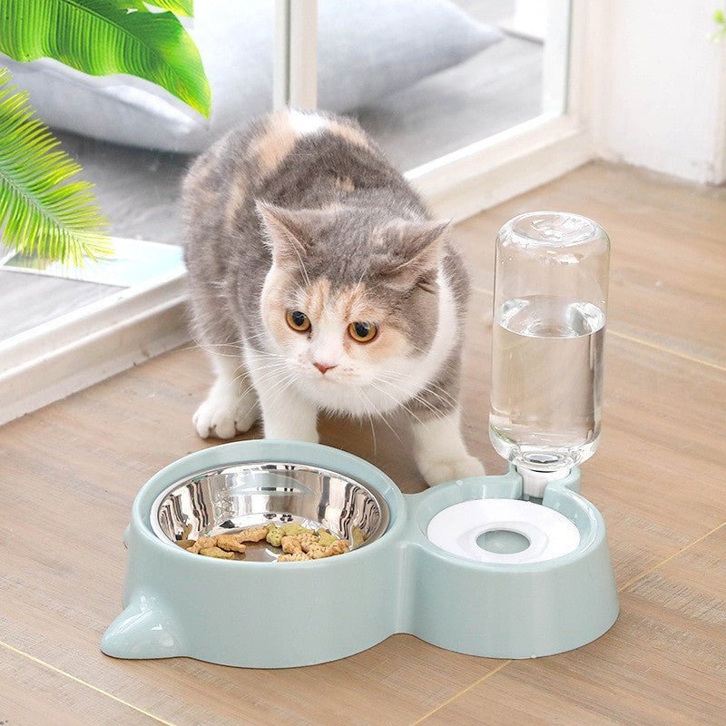 Blue pet dog|cat bowl fountain|Automatic food water feeder container and a cat.