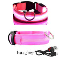 LED Glowing Dog Collar – Rechargeable & Adjustable for Small Dogs - Adistore