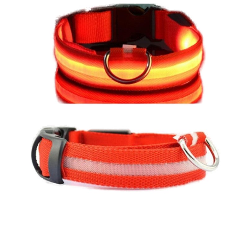 LED Glowing Small Dog Collar - Adjustable and Rechargeable.