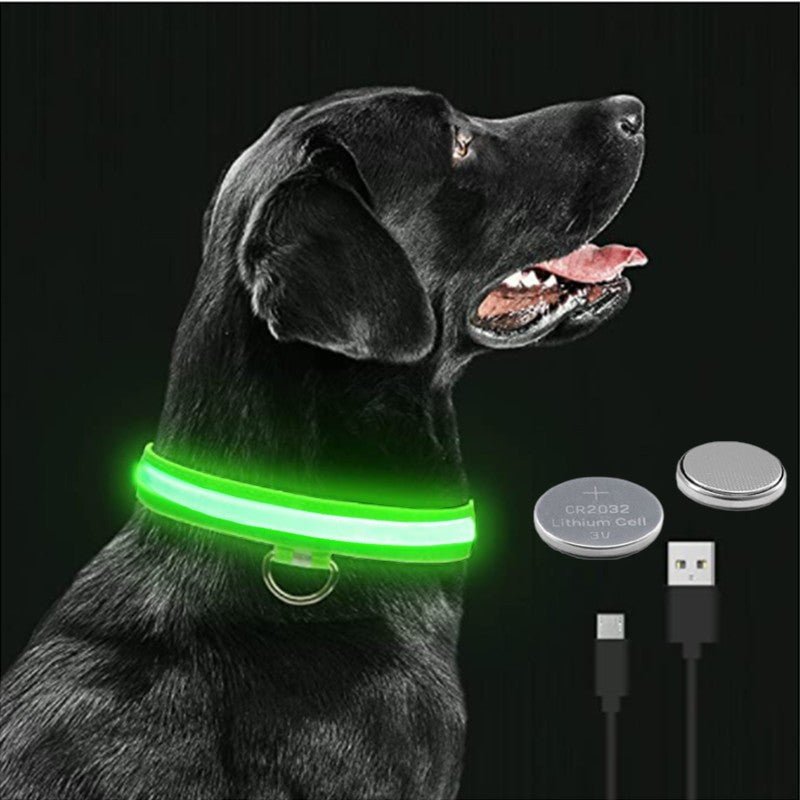 LED Glowing Dog Collar, showing enhanced visibility during nighttime walks.