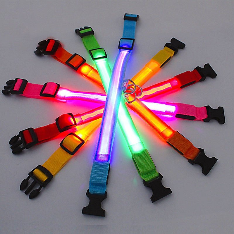 LED Glowing Small Dog Collar - Adjustable and Rechargeable.