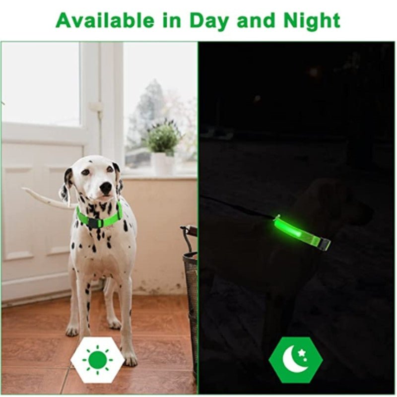 LED Glowing Dog Collar – Rechargeable & Adjustable for Small Dogs