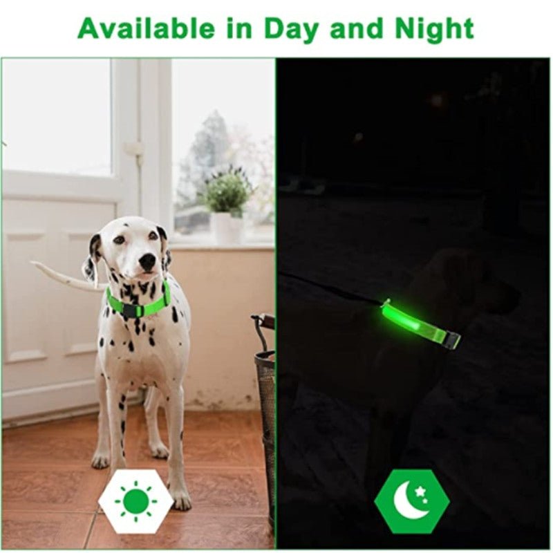 LED Glowing Small Dog Collar - Adjustable and Rechargeable.