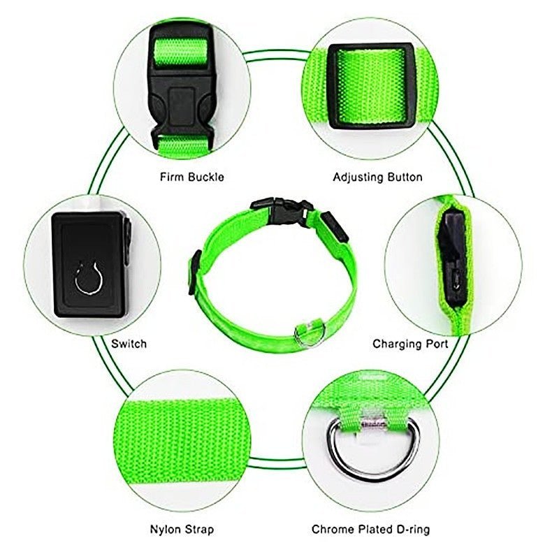 LED Glowing Small Dog Collar - Adjustable and Rechargeable.