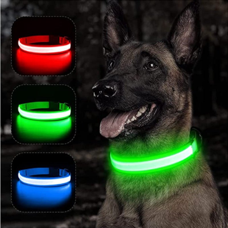 LED Glowing Small Dog Collar - Adjustable and Rechargeable.