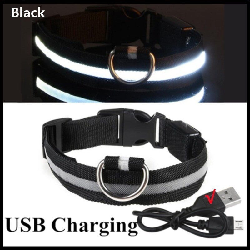 LED Glowing Dog Collar – Rechargeable & Adjustable for Small Dogs - Adistore