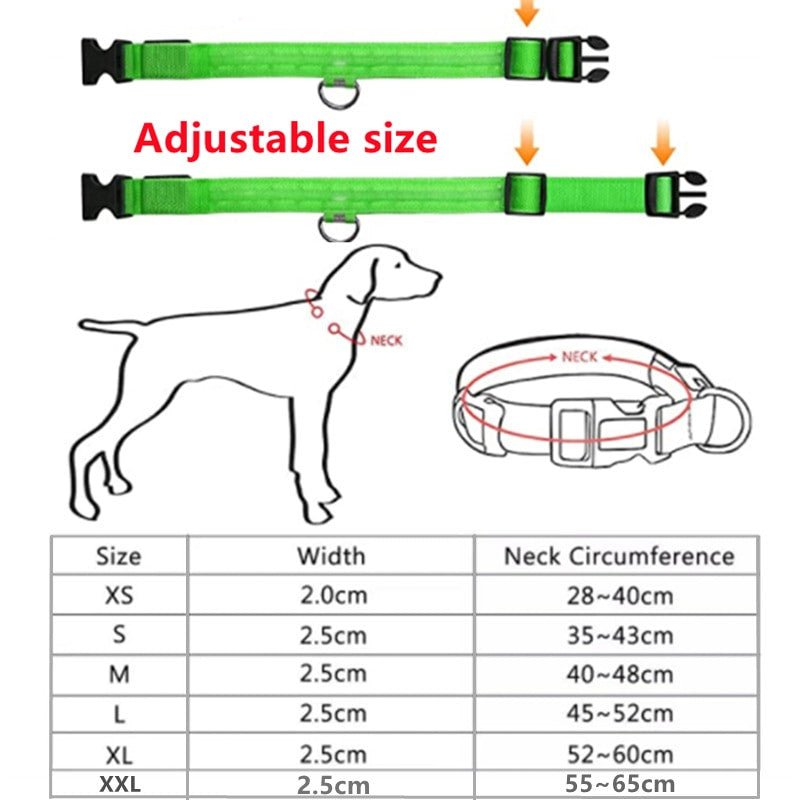 LED Glowing Small Dog Collar - Adjustable and Rechargeable.